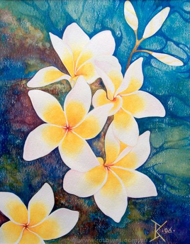 Floral Colours